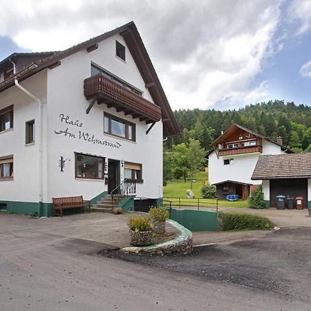 Am Wehrastrand App 2 Todtmoos Exterior photo